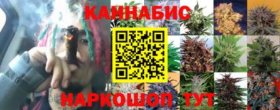spice Свободный