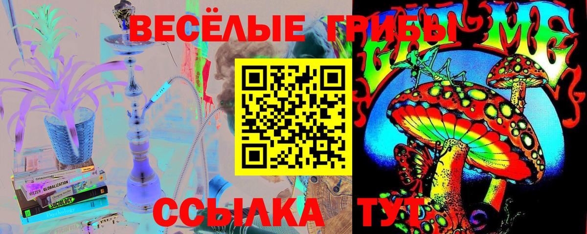 Галлюциногенные грибы Cubensis  наркотики  Михайловск  Вход с VPN 
