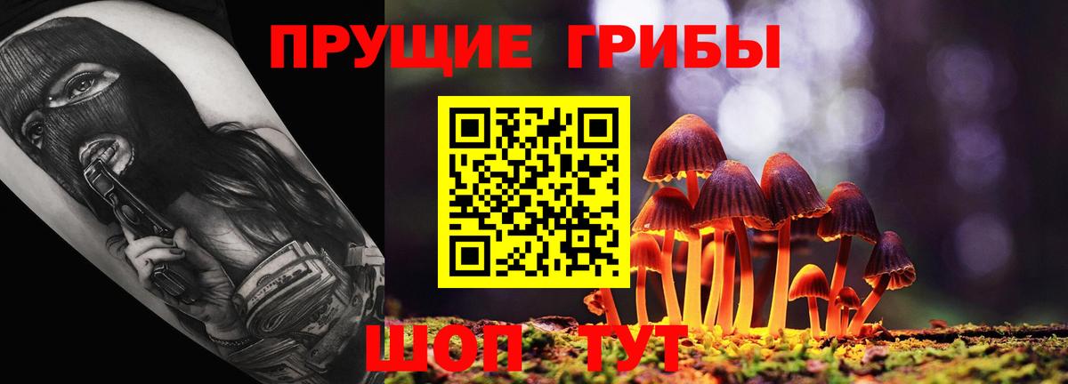 Галлюциногенные грибы Magic Shrooms Михайловск
